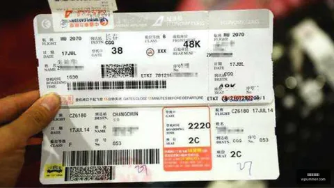 2026赛季最佳状态：11场仅失1球，巅峰时刻